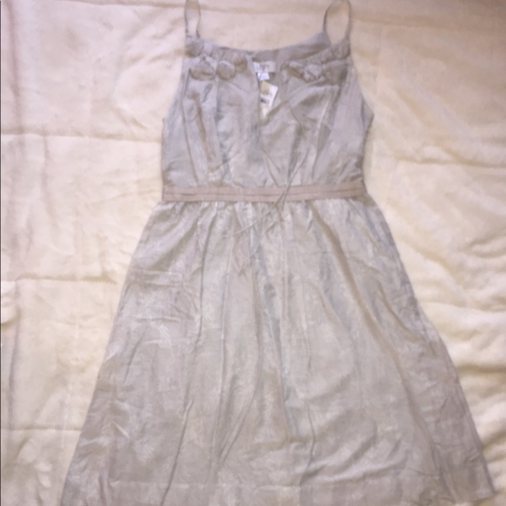 Beautiful NWT Loft Dress 👗👗👗⭐️⭐️⭐️⭐️⭐️